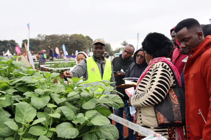 WAMBUGU ATC FIELD DAY JULY 2023