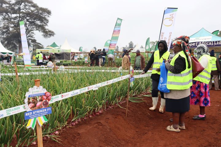 WAMBUGU ATC FIELD DAY JULY 2023