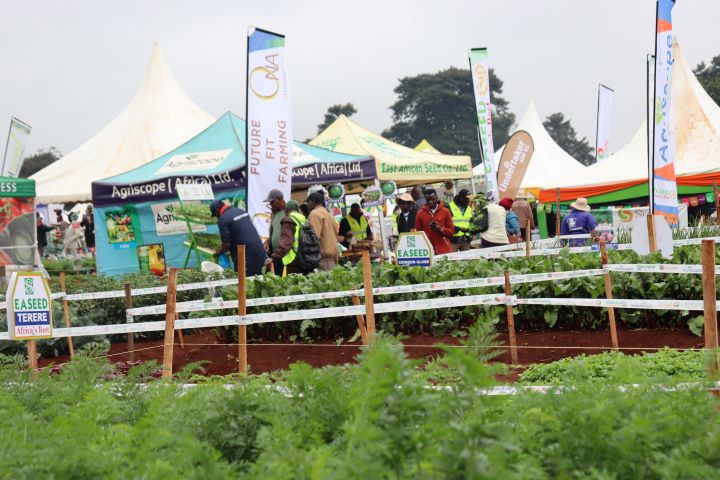 WAMBUGU ATC FIELD DAY JULY 2023