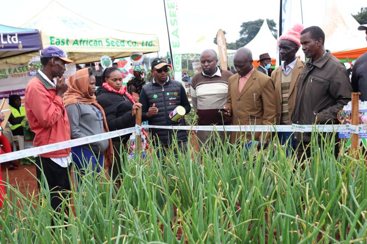 WAMBUGU ATC FIELD DAY JULY 2023