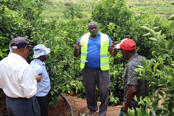 Crop Protection Products Launch Event in Makueni County