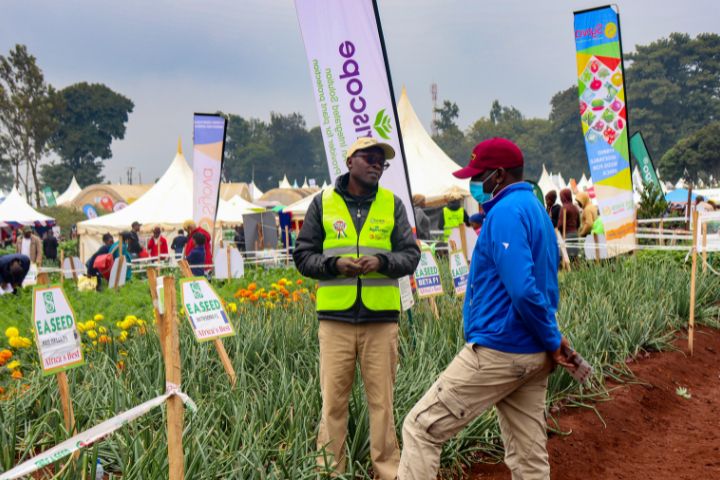 WAMBUGU A.T.C FIELD DAY (JULY 2024)