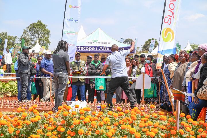 WAMBUGU ATC 2026 (JULY 24TH & 30TH )