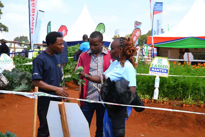 WAMBUGU ATC 2026 (JULY 24TH & 30TH )