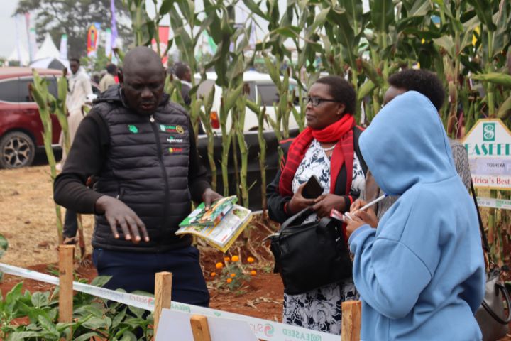 WAMBUGU ATC 2026 (JULY 24TH & 30TH )