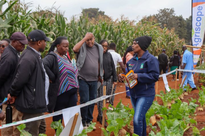 WAMBUGU ATC 2026 (JULY 24TH & 30TH )
