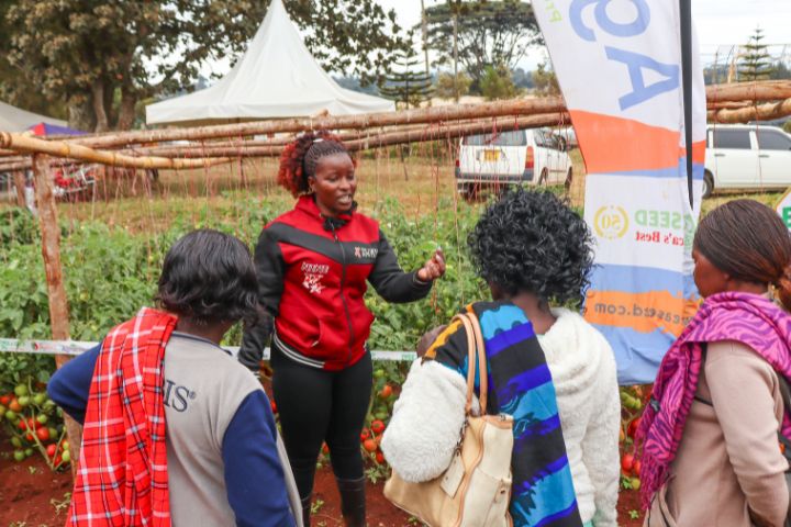 WAMBUGU ATC 2026 (JULY 24TH & 30TH )