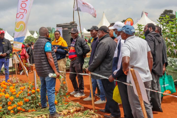 WAMBUGU ATC 2026 (JULY 24TH & 30TH )