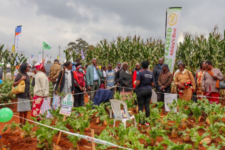 WAMBUGU ATC 2026 (JULY 24TH & 30TH )