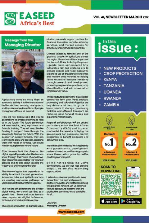 publication image